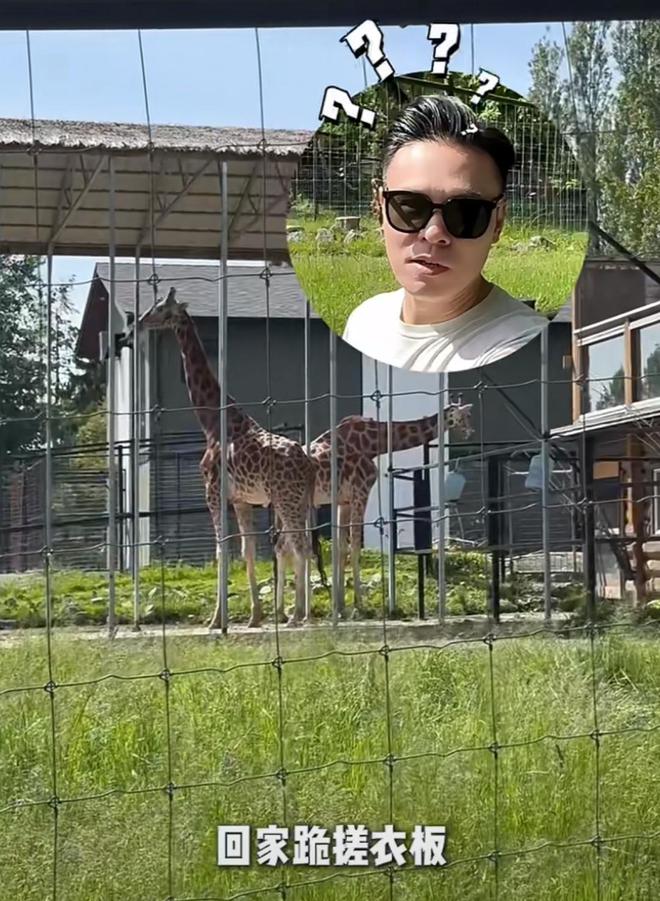 yKQl200gKD2KLi0i.jpg