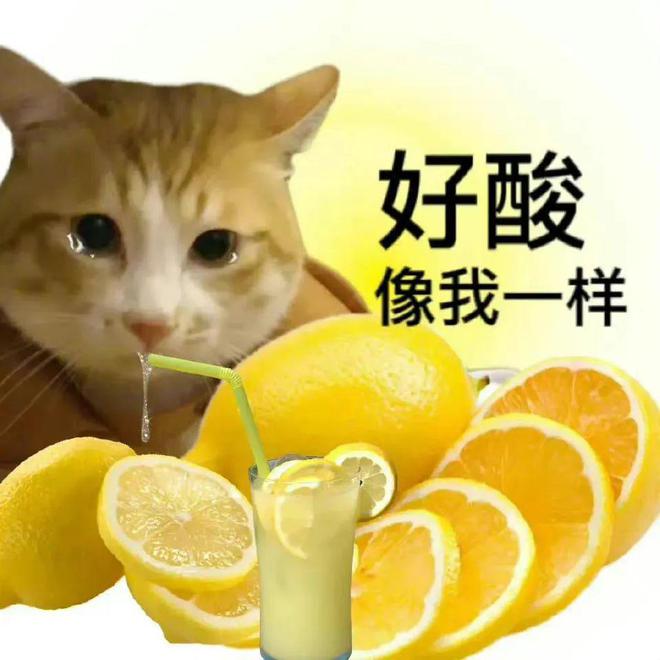 k3S2JFsjbHVaV91H.jpg